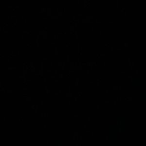 Meet your Posher, Shaquilla